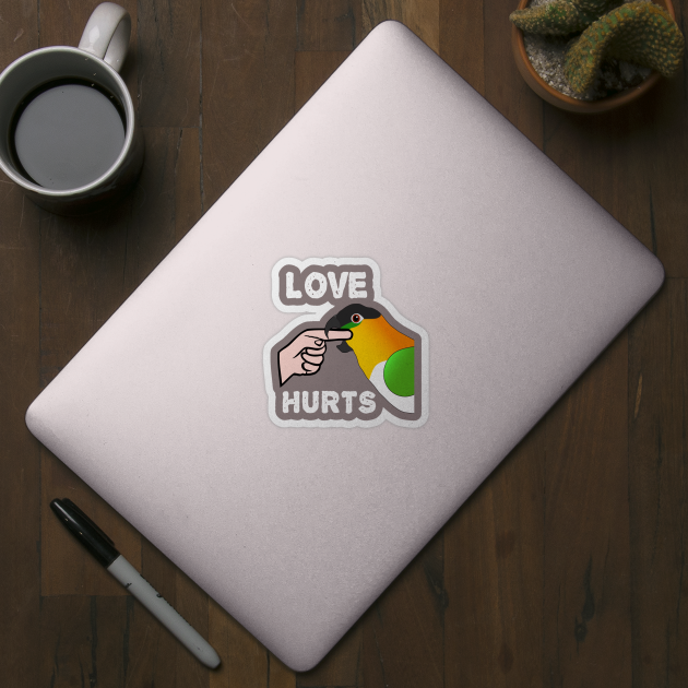 Black Headed Caique Parrot - Love Hurts Biting by Einstein Parrot